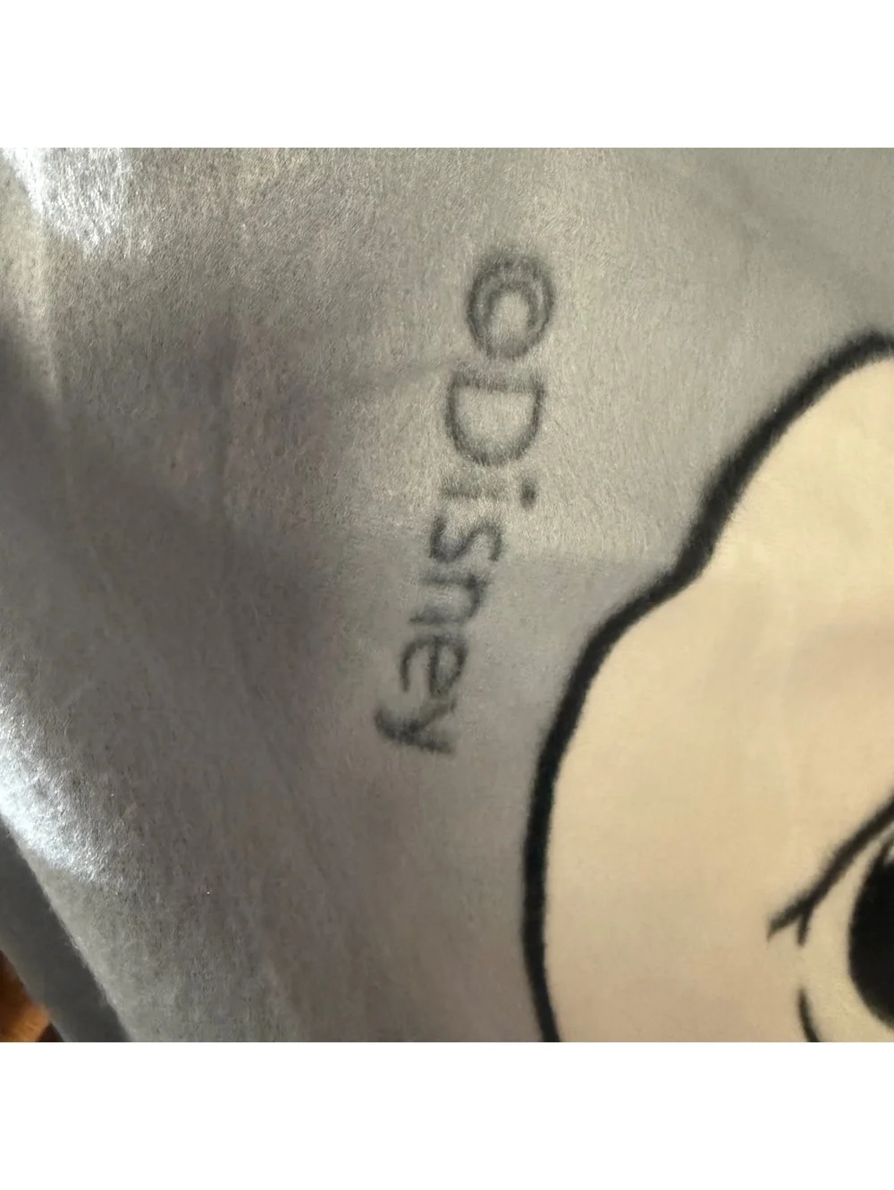 Disney Rewards Mickey Mouse Fold Up Picnic Blanket Bag Chase Visa Promo Cushion